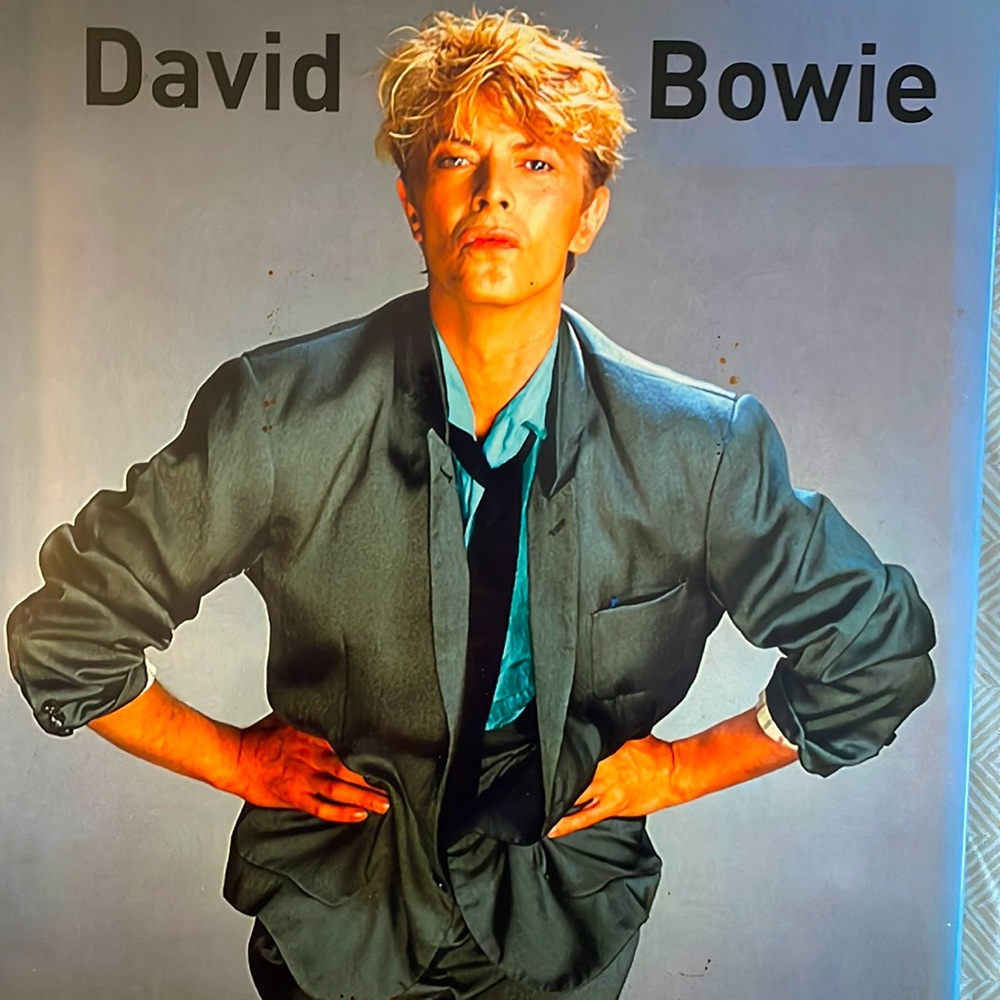 David Bowie Book David Bowie Book Rock Icon Fantastic Color Photos